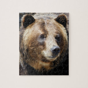 Grizzly Bear Porträtt Pussel