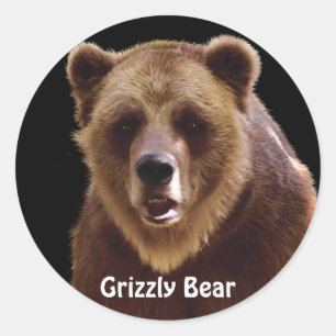 Grizzly Bear Porträtt Wildlife Stickers Runt Klistermärke