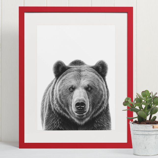 Grizzly Bear Porträtt Woodland Black white Poster (Skapare uppladdad)