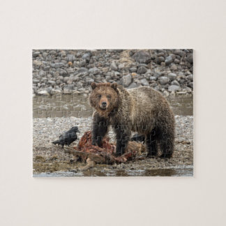 Grizzly Bear Puzzle Pussel