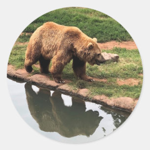 Grizzly Bear Round Sticker Runt Klistermärke