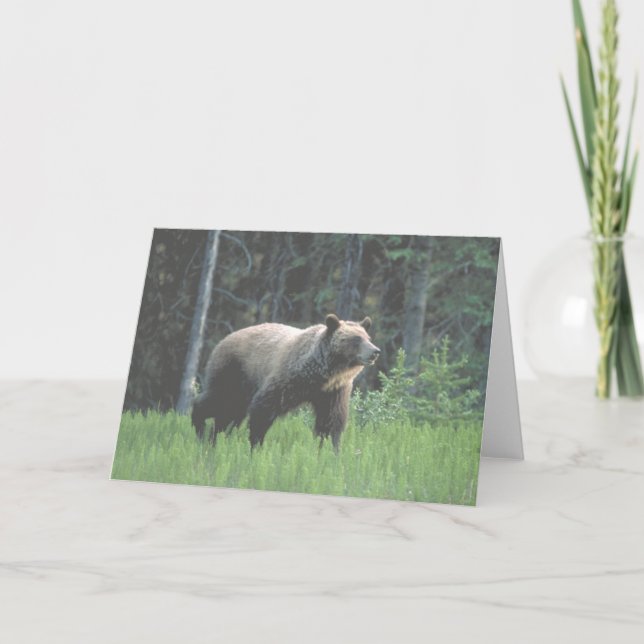 Grizzly Bear Skogen Card Kort (Framsida)