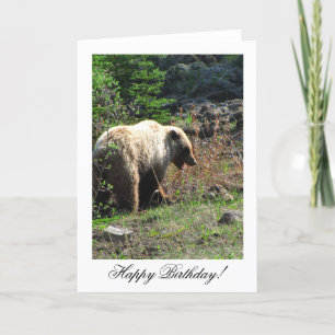 Grizzly Bear Smile, Grattis på födelsedagen Kort