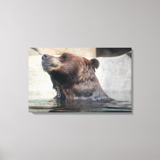 Grizzly Bear Spela i Vatten Canvastryck (Framsida)