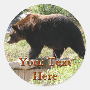Grizzly Bear Stickers Runt Klistermärke