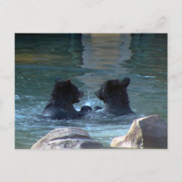 Grizzly Bear Swimming Party Inbjudan Vykort