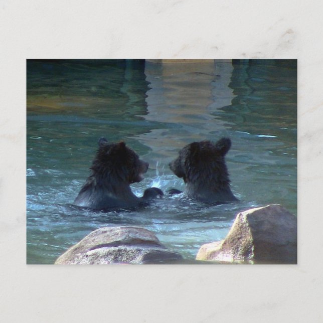Grizzly Bear Swimming Party Inbjudan Vykort (Framsida)