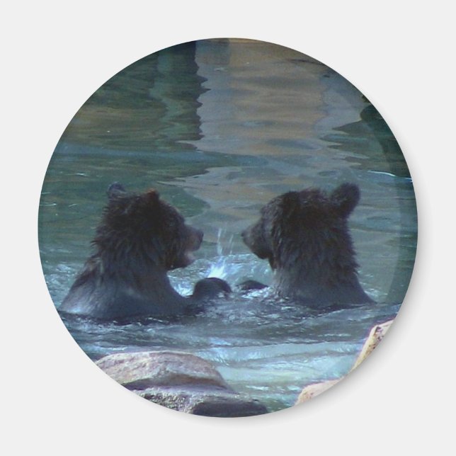 Grizzly Bear Swimming Party Magnet (Framsidan)