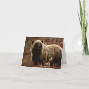 Grizzly Bear Tackkort Card