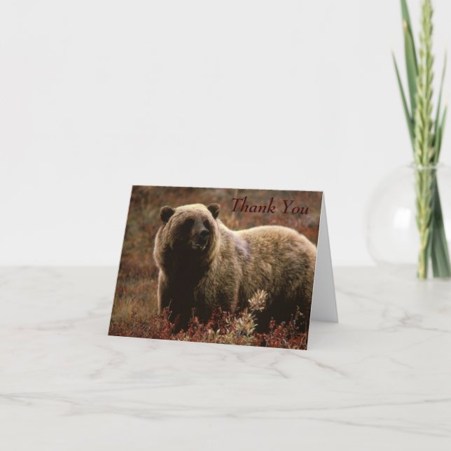 Grizzly Bear Tackkort Card (Framsida)