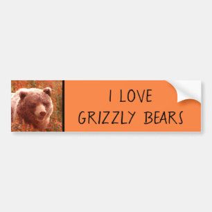 Grizzly Bear Unge i Fireweed Painting Wildlife Art Bildekal