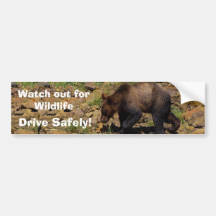 GRizzly Bear Unge Wildlife Supporter Bumper Sticke Bildekal