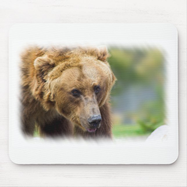 Grizzly Bear White Gräns Musmatta (Framsidan)