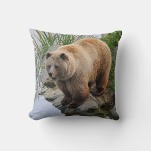 Grizzly Bear Wildlife Animal Photographic Kudde