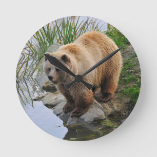 Grizzly Bear Wildlife Animal Photographic Rund Klocka