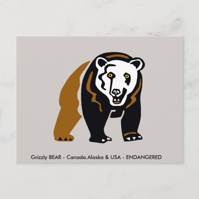 Grizzly BEAR - Wildlife - Conservation - Vykort (Framsida)