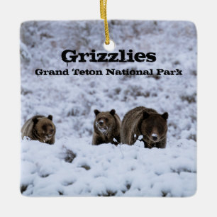 Grizzly Bears i nationalparken Snö Grand Teton Julgransprydnad Keramik