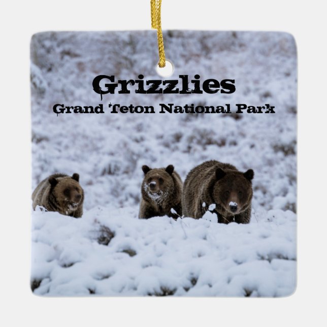 Grizzly Bears i Snö Grand Teton nationalpark Julgransprydnad Keramik (Framsida)