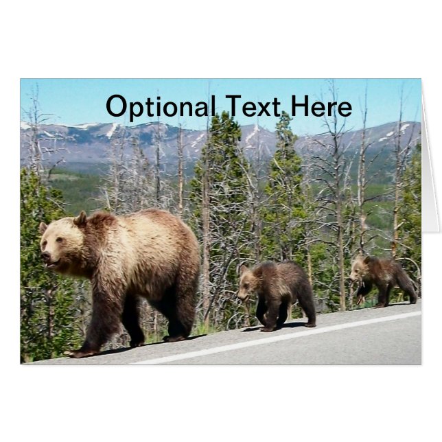 Grizzly Bears of Yellowstone OBS Kort (Framsidan Horizontal)