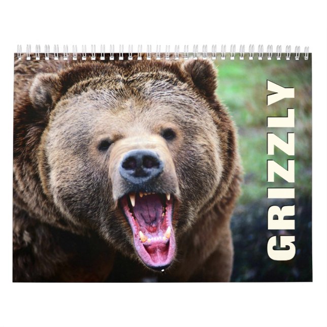 Grizzly Bears Wall Calendar Kalender (Omslag)