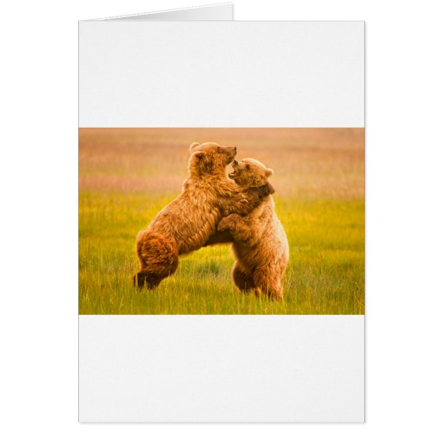 Grizzly Bears Wrestling Hälsningskort (Framsidan)