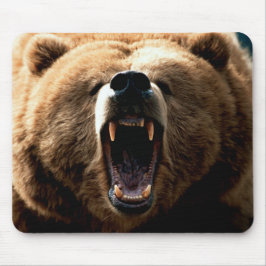 Grizzly Beer Feeling Musmatta