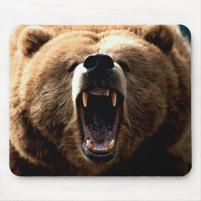 Grizzly Beer känner musknappen Musmatta (Framsidan)
