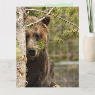 GRIZZLY BJÖRN FÖDELSEDAG JÄTTE GRATTIS KORT