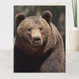 GRIZZLY BJÖRN FOTOGRAFERING FÖDELSEDAGKORT KORT