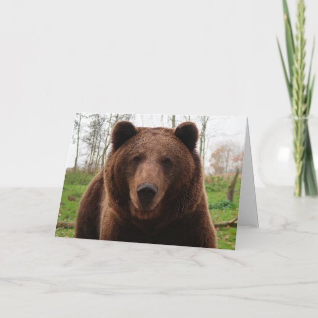 GRIZZLY BJÖRN GLAD FÖDELSEDAG BJÖRN KRAM KORT (Framsida)