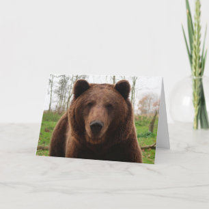 GRIZZLY BJÖRN GLAD FÖDELSEDAG BJÖRN KRAM KORT