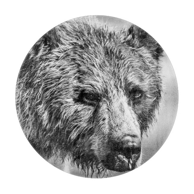 Grizzly björn porträtt (Framsidan)