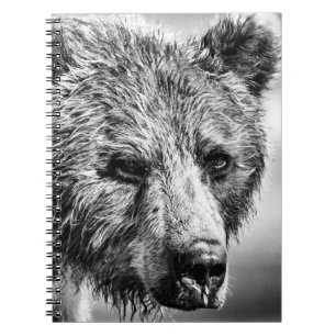 Grizzly björn porträtt anteckningsbok