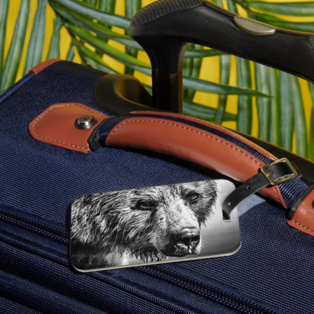 Grizzly björn porträtt bagagebricka (Framsida Insitu 3)