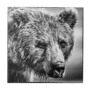 Grizzly björn porträtt kakelplatta