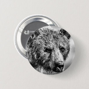 Grizzly björn porträtt knapp