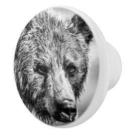 Grizzly björn porträtt knopp