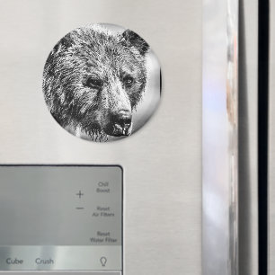 Grizzly björn porträtt magnet