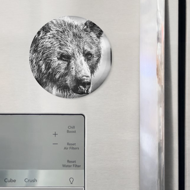 Grizzly björn porträtt magnet (In Situ (Fridge))