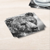 Grizzly björn porträtt
