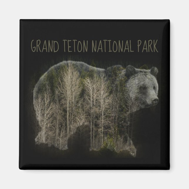 Grizzly Forest Grand Teton nationalpark Magnet (Framsidan)