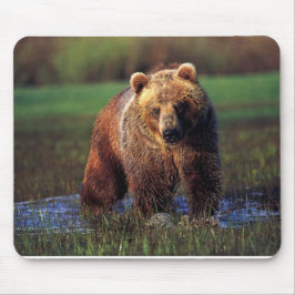 GRIZZLY I VATTEN MOUSEPAD MUSMATTA