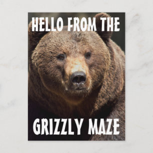 GRIZZLY MAZE GRIZZZLY BEAR POSTKARTOR VYKORT