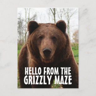 GRIZZLY MAZE GRIZZZLY BEAR POSTKARTOR VYKORT