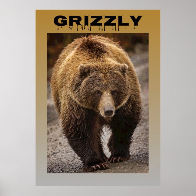 Grizzly Poster (Framsidan)
