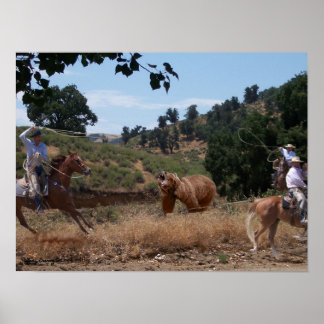 Grizzly Roligt Poster