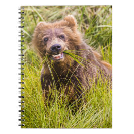 Grizzly unge, Alaska Anteckningsbok