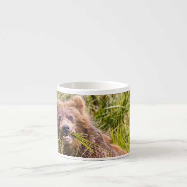 Grizzly unge, Alaska Espressomugg (Framsidan)