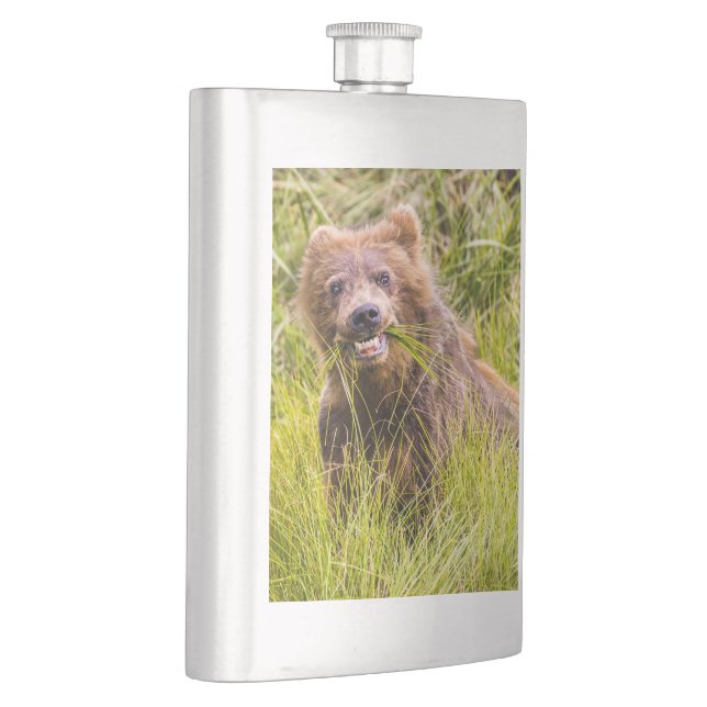 Grizzly unge, Alaska Fickplunta (Höger)