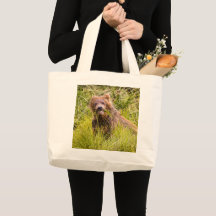 Grizzly unge, Alaska